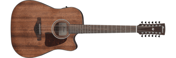Ibanez AW5412CE Artwood Acoustic-Electric 12 String, Open Pore