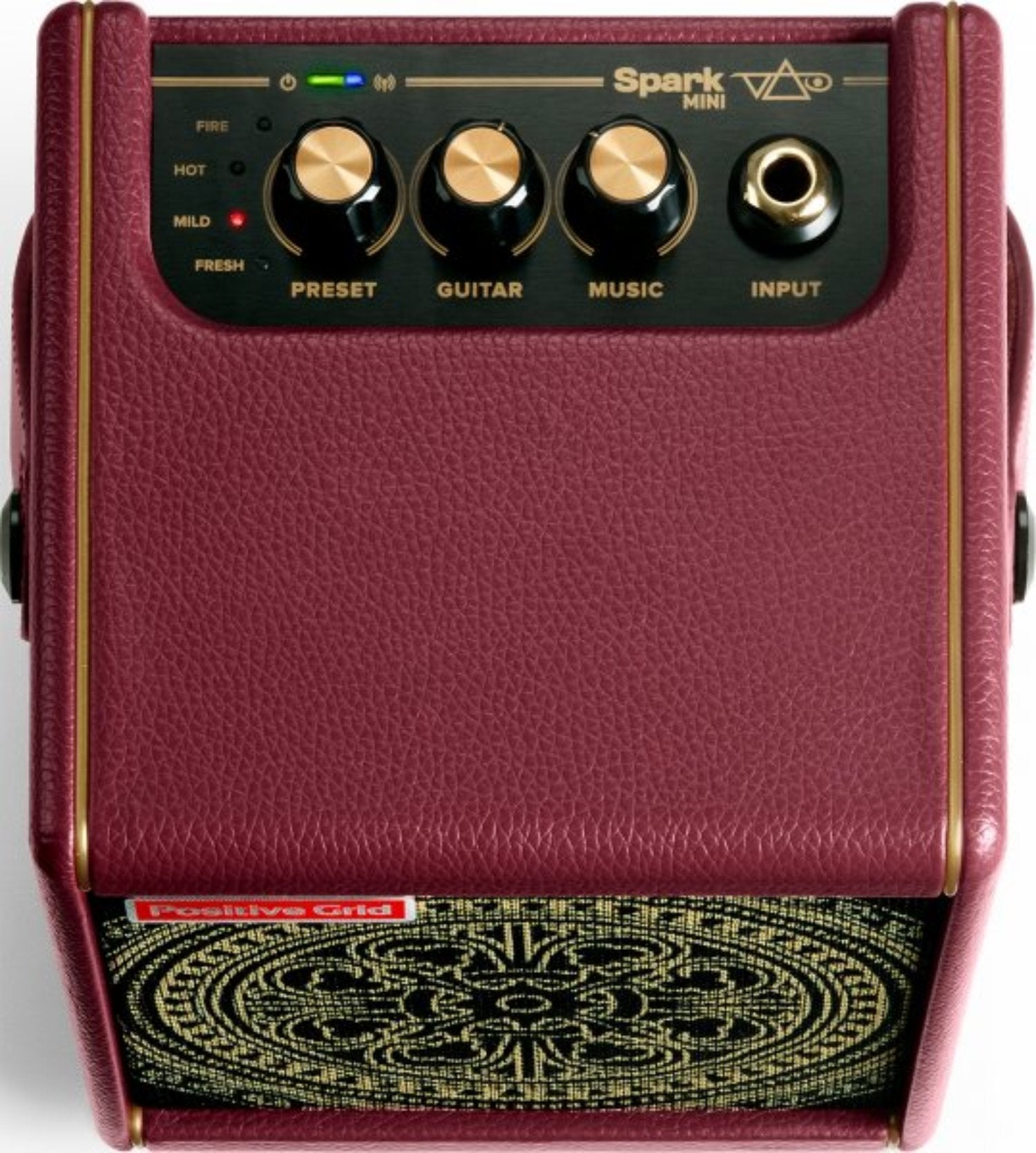 Positive Grid 10W Portable Guitar Combo Amp, Steve Vai Special Edition by Coast Music