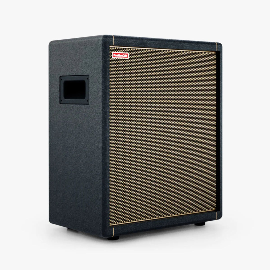 Positive Grid 140w Spark Cab by Coast Music