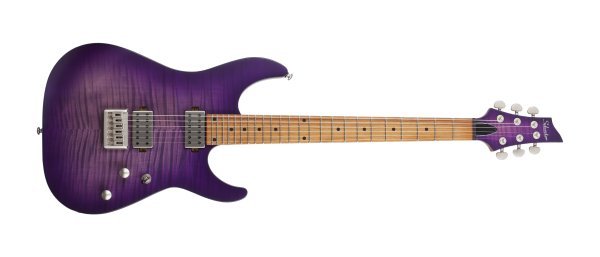 Schecter C - 1 Standard Plus Electric Guitar, Transparent Purple Burst by Schecter