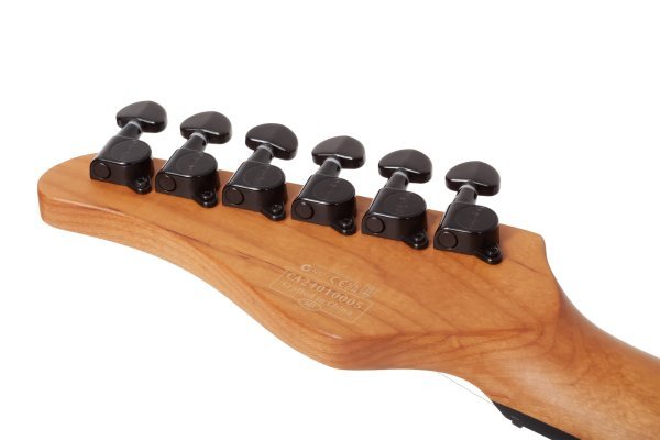 Schecter PT Standard Electric Guitar, Black Fade Burst Burl by Schecter
