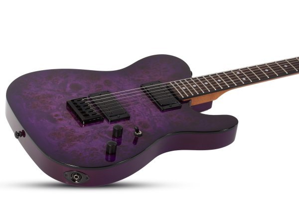 Schecter PT Standard Electric Guitar, Purple Burst Burl by Schecter