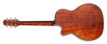 Takamine Limited Edition 6 String Acoustic Electric Guitar with Semi-Hard Gigbag, Green by Takamine
