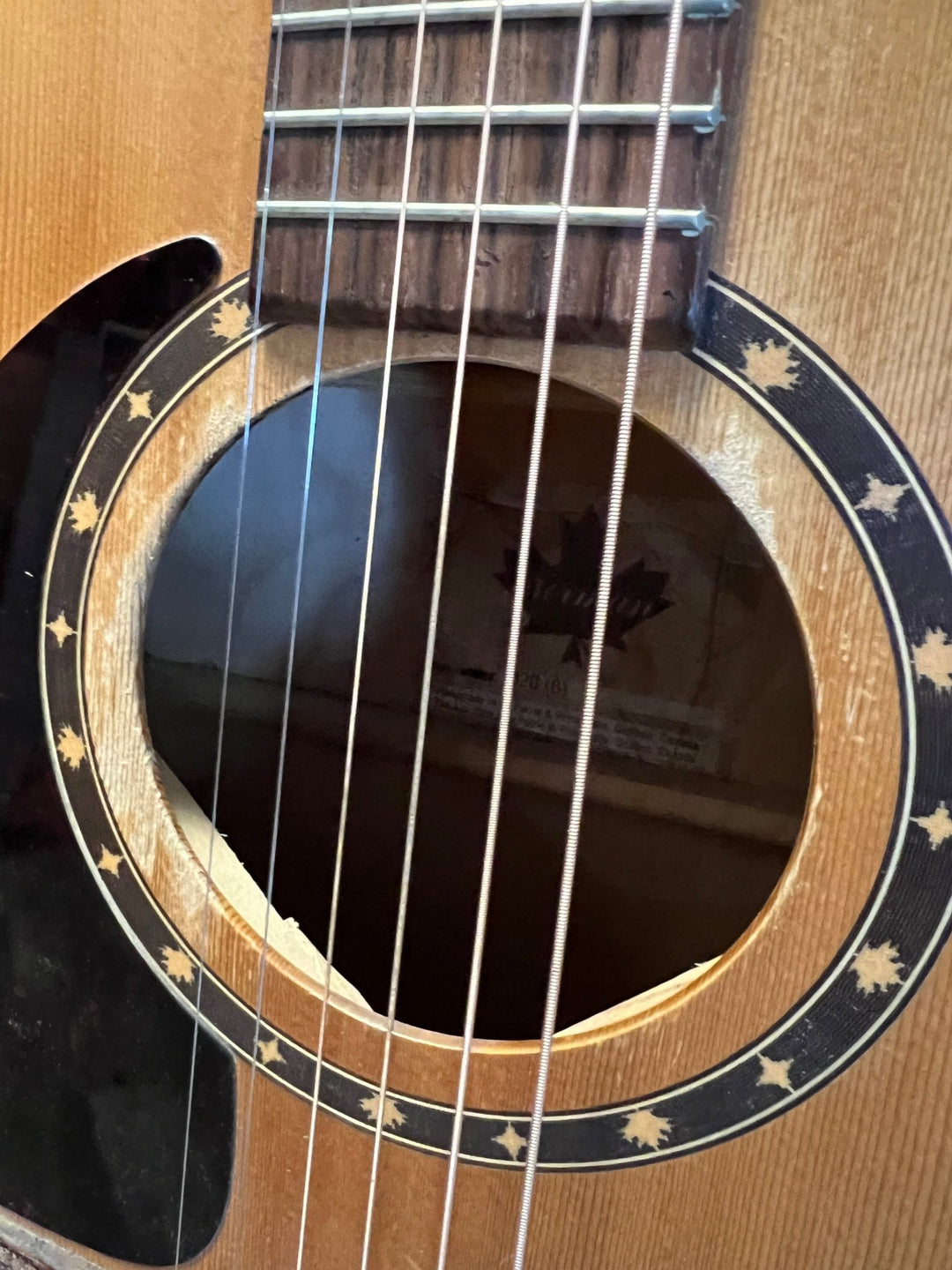 Used Norman B20 (6) Lefty by Used