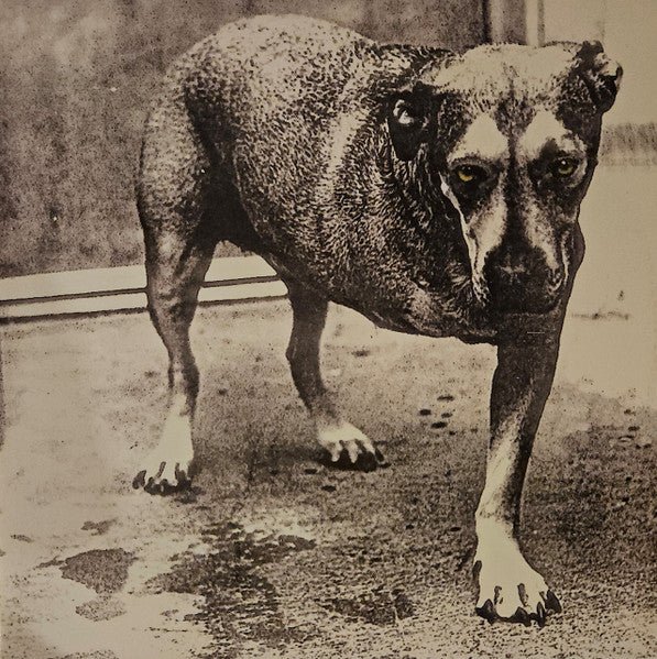 VINYL Alice In Chains Alice In Chains by FAB