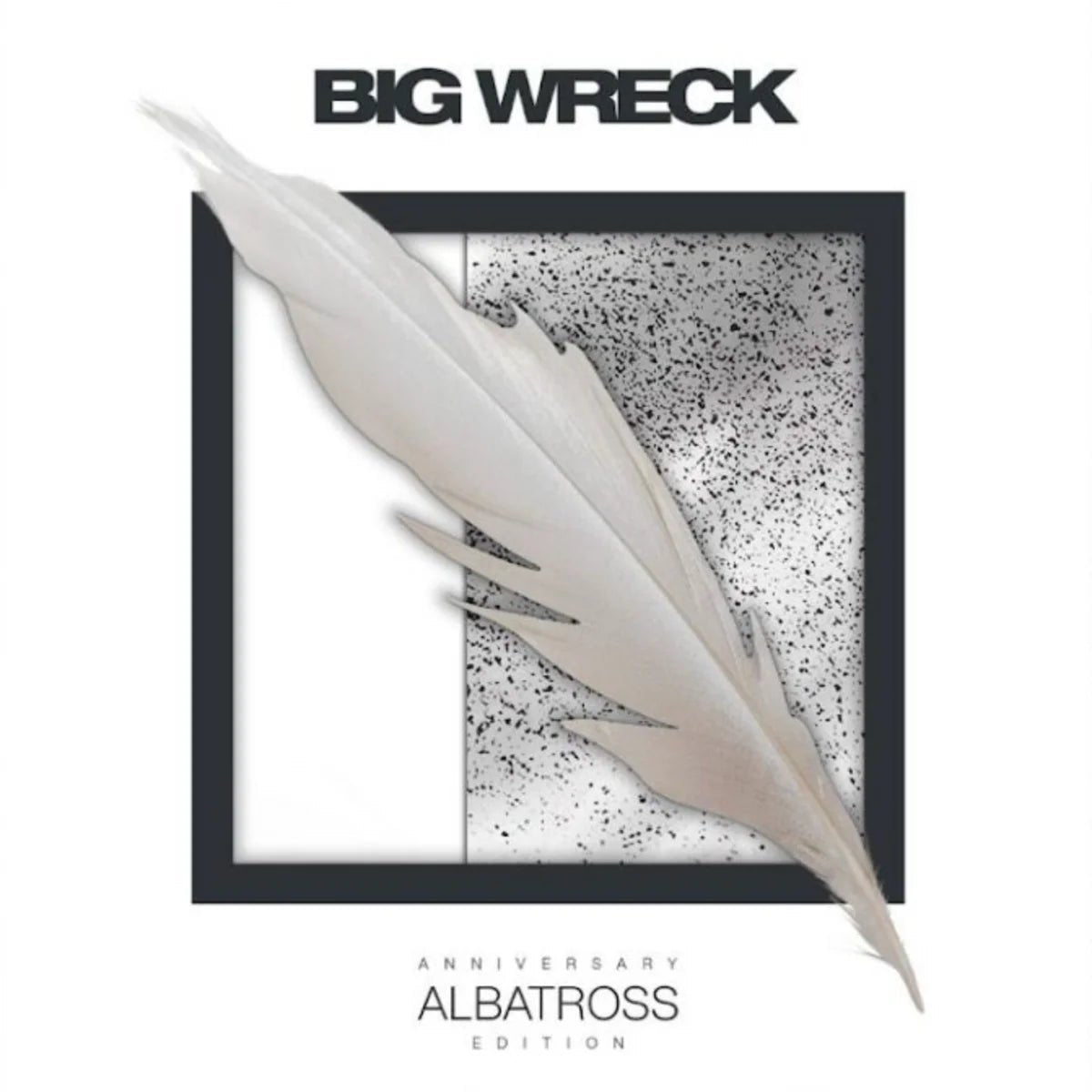 VINYL Big Wreck 2025RSD Albatross (DLX/2LP) by FAB