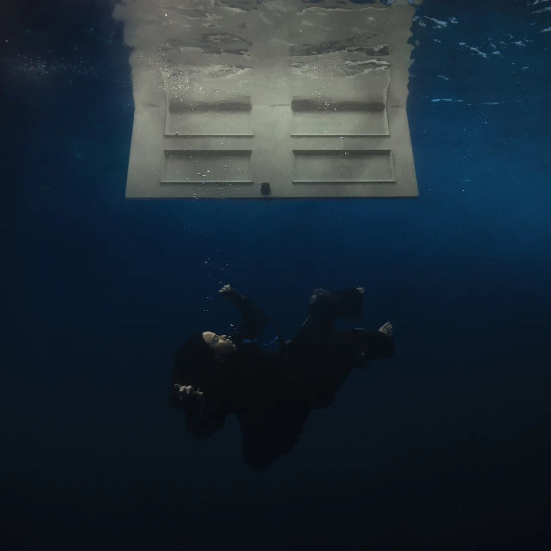 VINYL Billie Eilish Hit Me Hard and Soft (Grey Bio Vinyl) by FAB