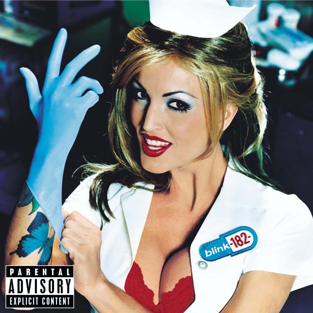VINYL Blink 182 Enema Of The State by FAB