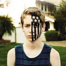 VINYL Fall Out Boy American Beauty/American Psycho by FAB