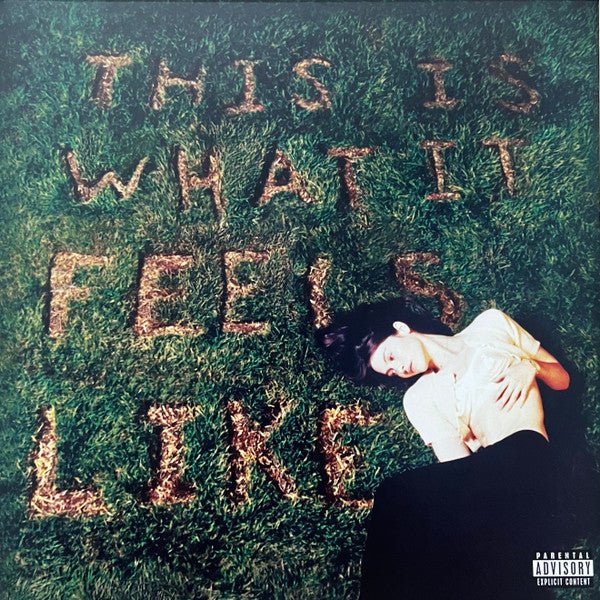 Vinyl Gracie Abrams – This Is What It Feels Like by FAB