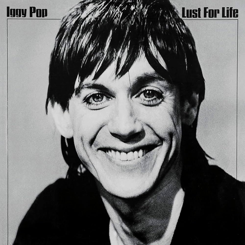VINYL Iggy Pop Lust For Life by FAB