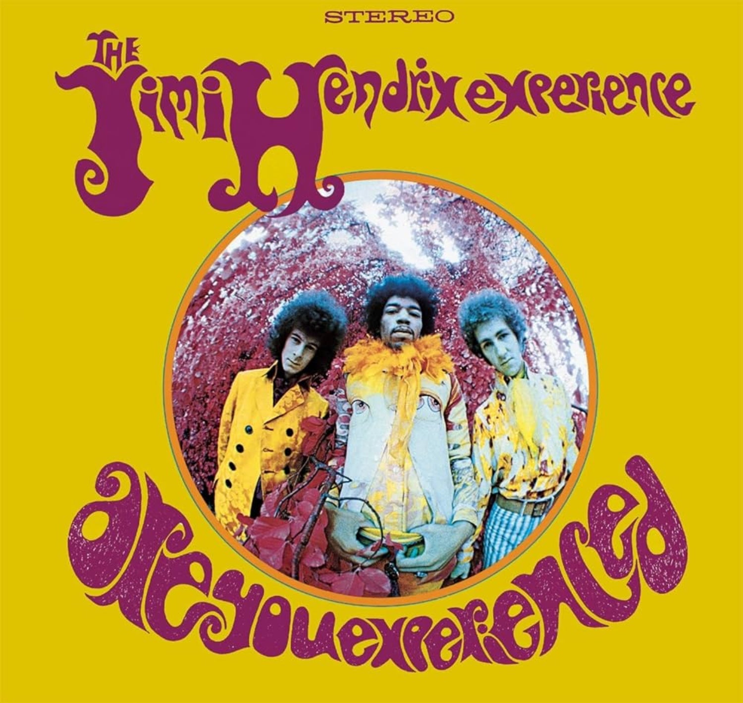 VINYL Jimi Hendrix Are You Experienced by FAB