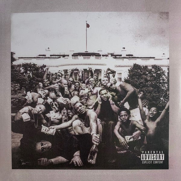VINYL Kendrick Lamar To Pimp A Butterfly by FAB