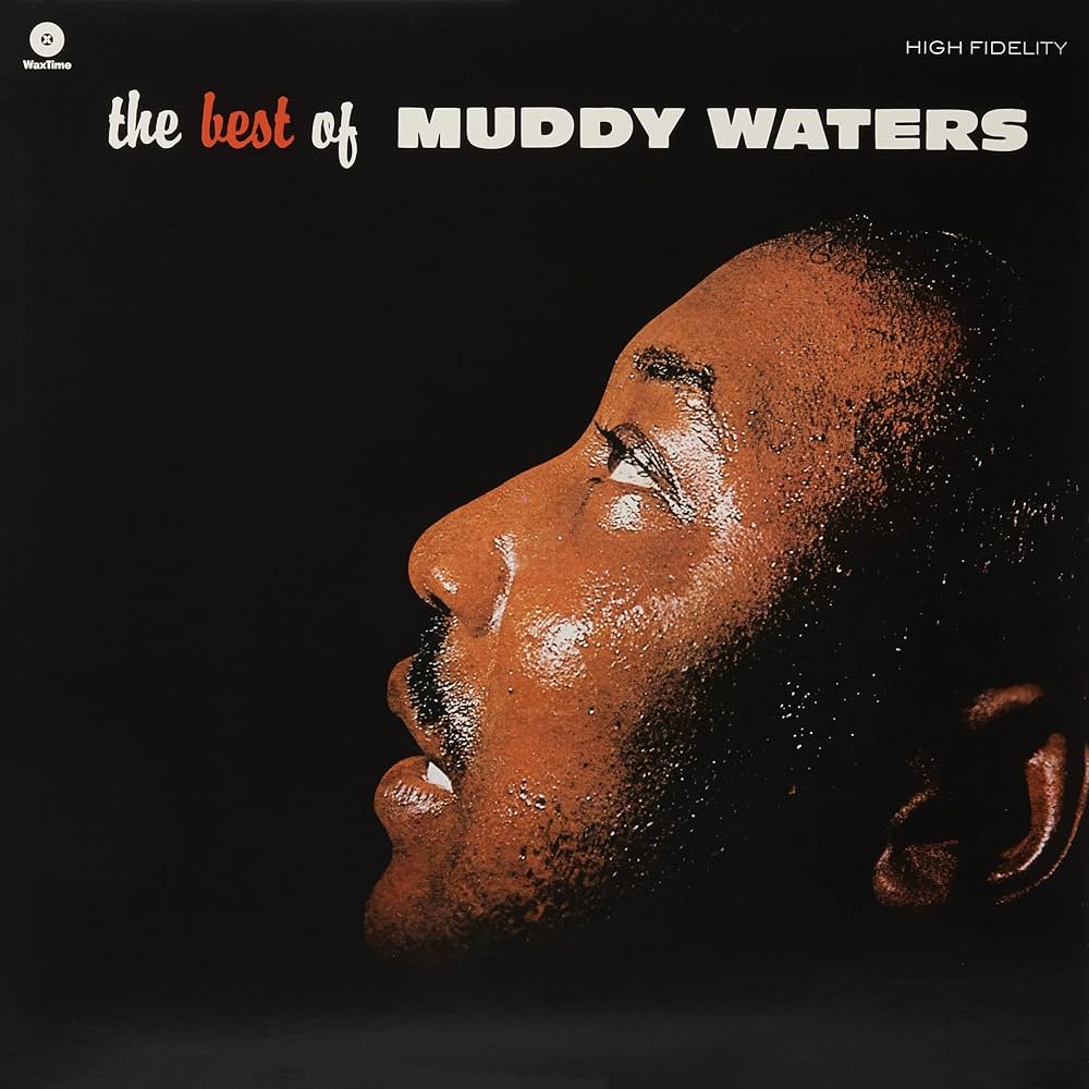 VINYL Muddy Waters The Best Of Muddy Waters by FAB