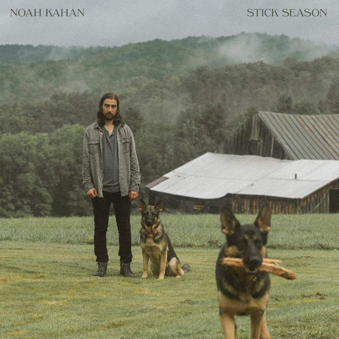 VINYL Noah Kahan Stick Season (2LP) by FAB