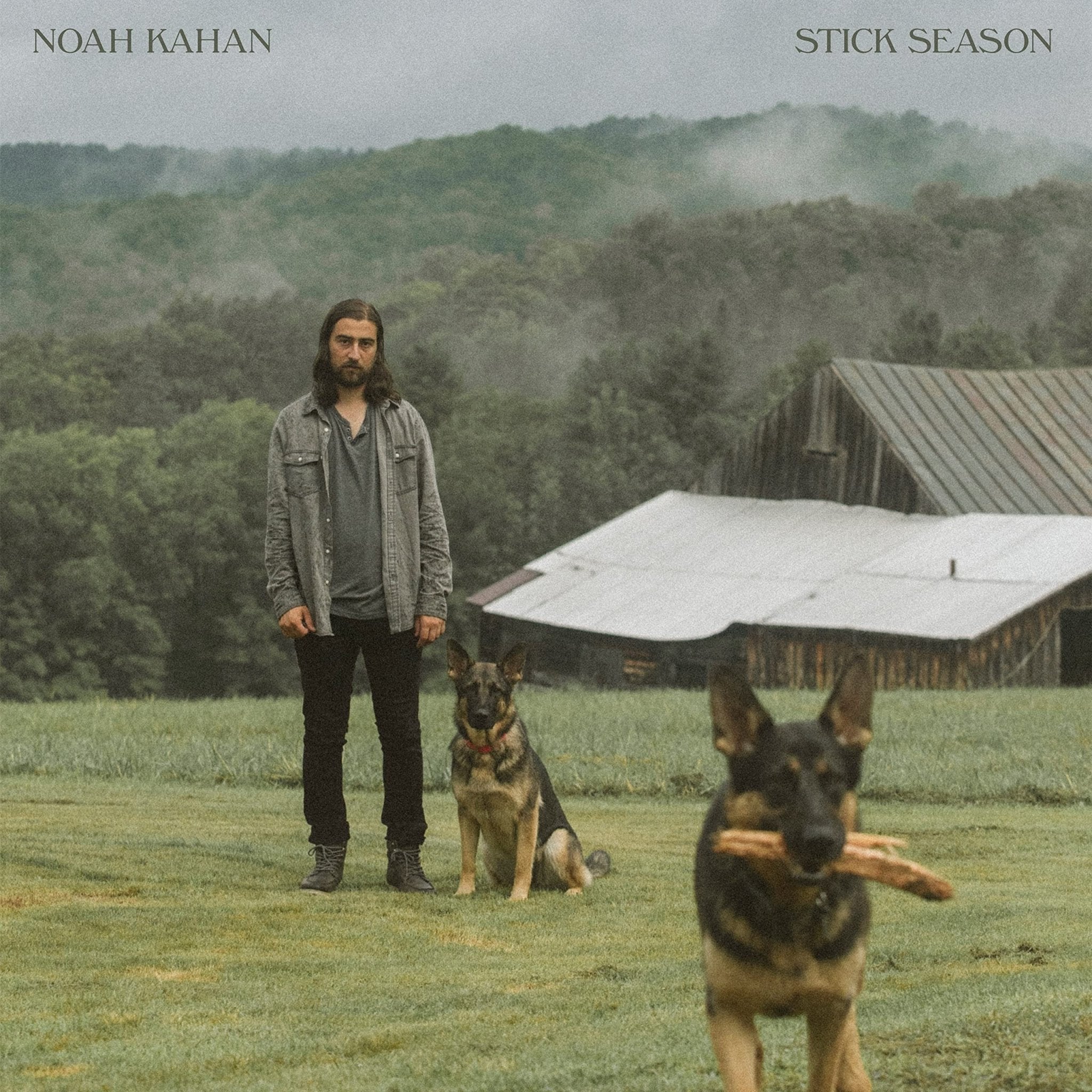 VINYL Noah Kahan Stick Season (2LP) by FAB