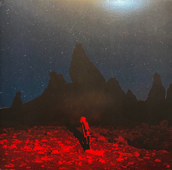 VINYL Phoebe Bridgers – Punisher by FAB
