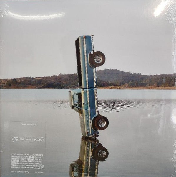 VINYL Post Malone – F - 1 Trillion by FAB