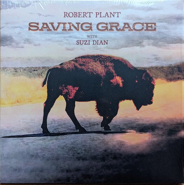 VINYL Robert Plant With Suzi Dian – Saving Grace by FAB