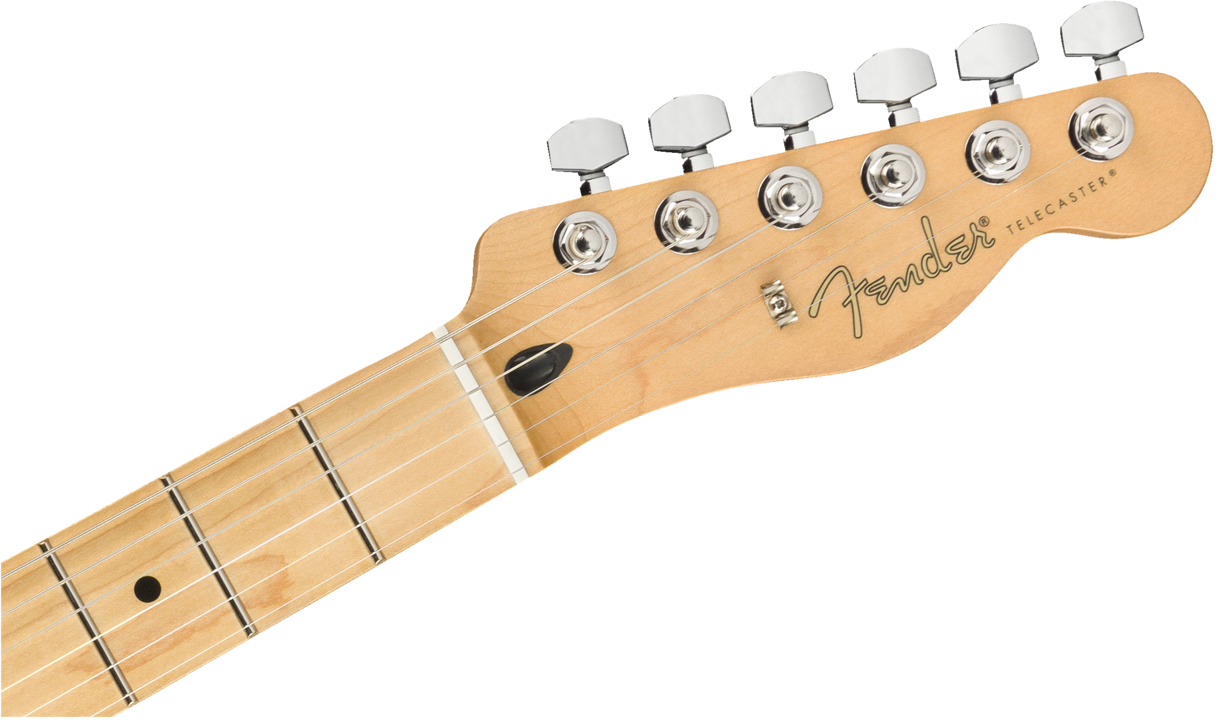 Fender Player Telecaster®, Maple Fingerboard, Tidepool
