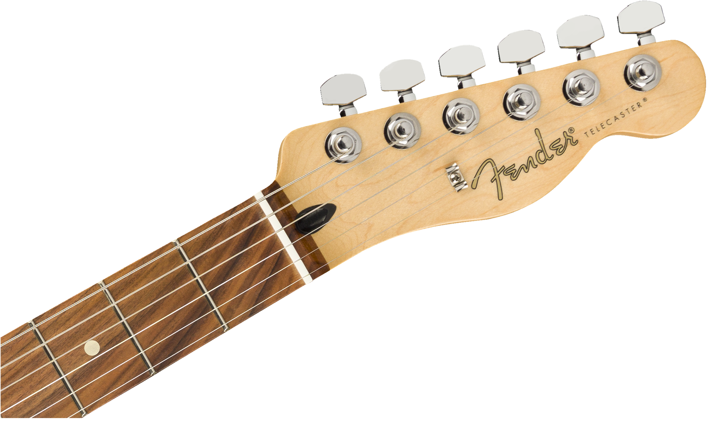 Fender Player Telecaster®, Pau Ferro Fingerboard, Polar White