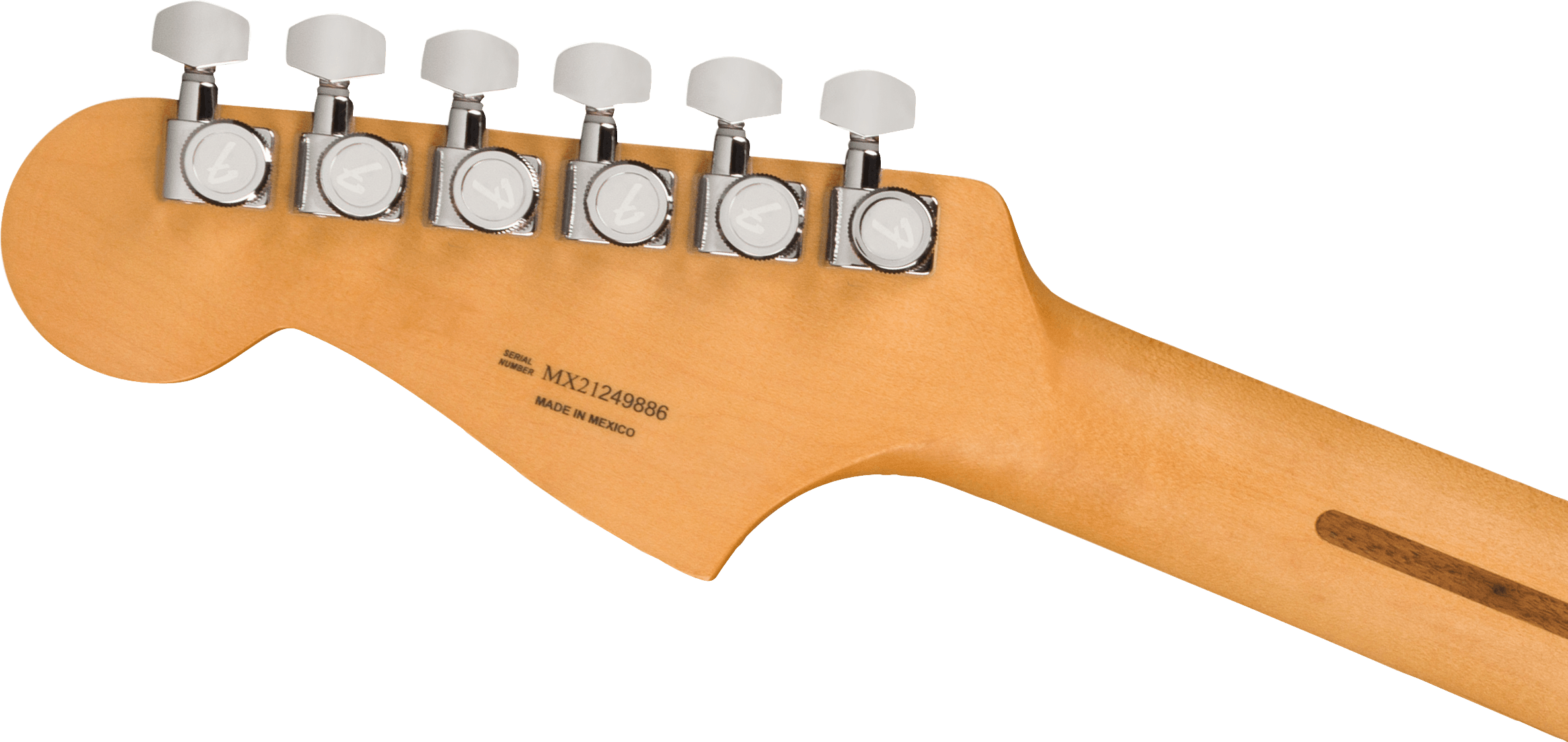 Fender Player Plus Meteora® HH, Pau Ferro Fingerboard, Cosmic Jade