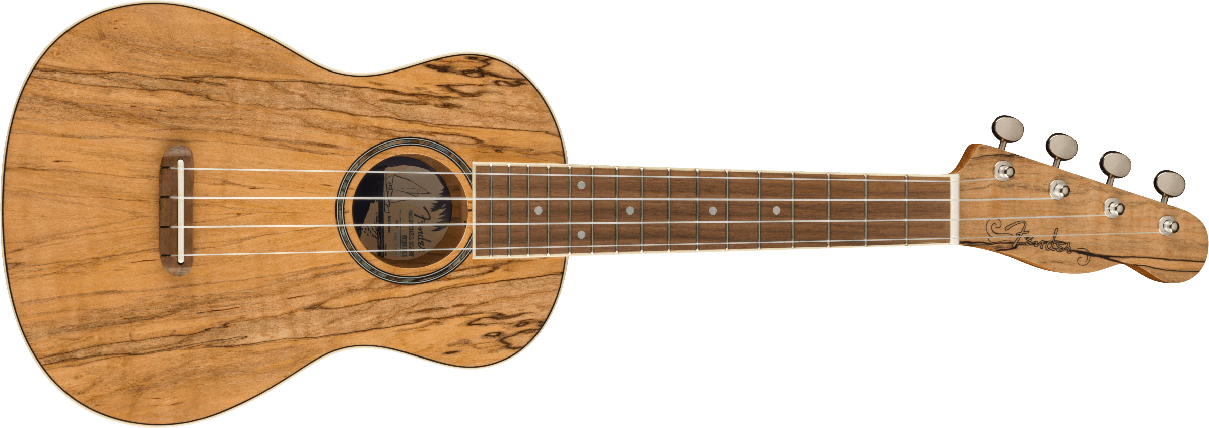 Fender Zuma Exotic Concert Ukulele