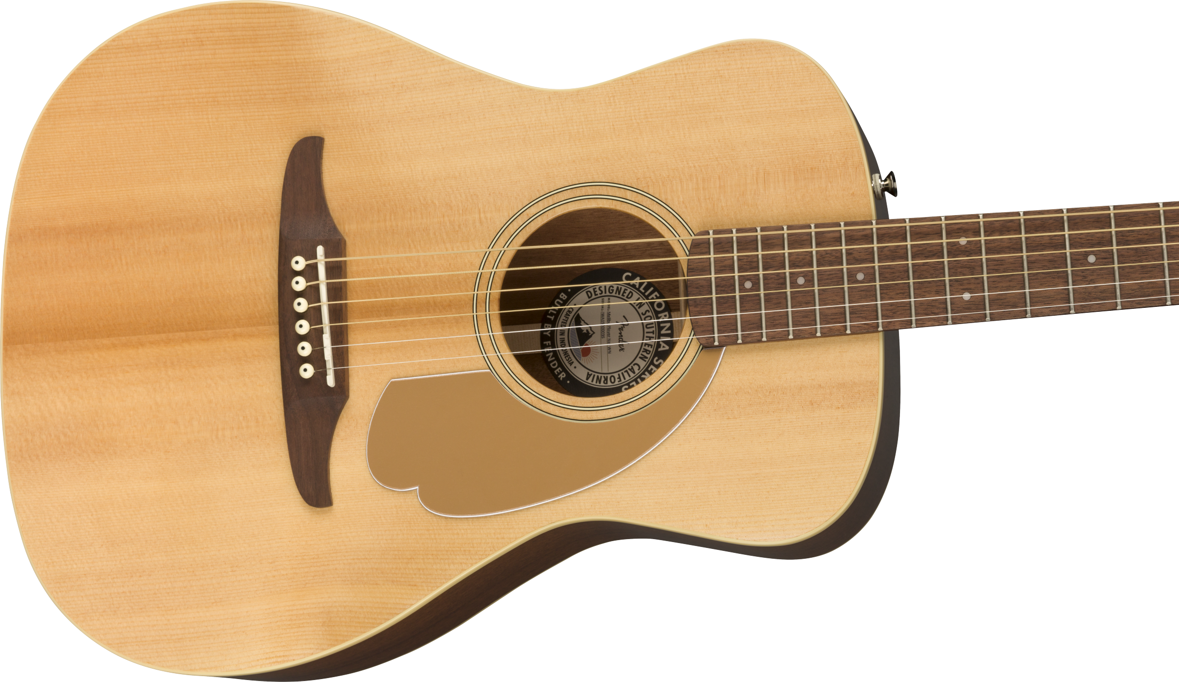 Fender Malibu Player Acoustic/Electric Guitar