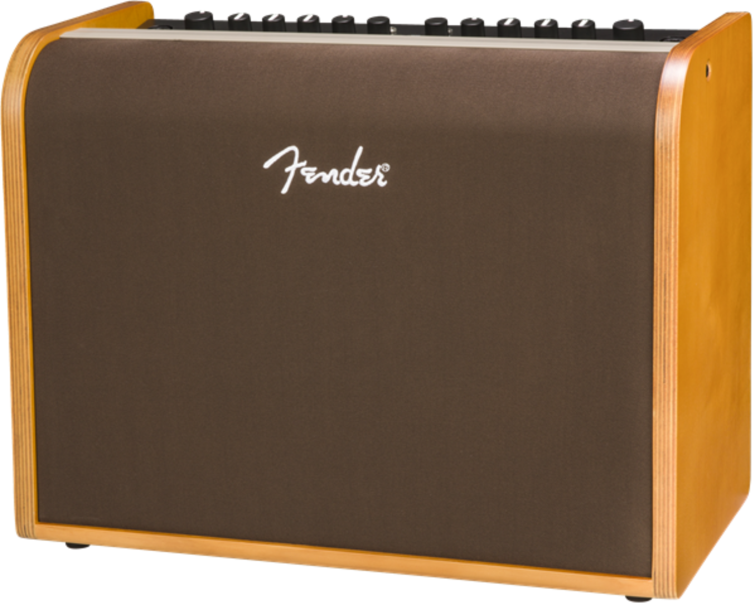 Fender Acoustic 100 Acoustic Amp