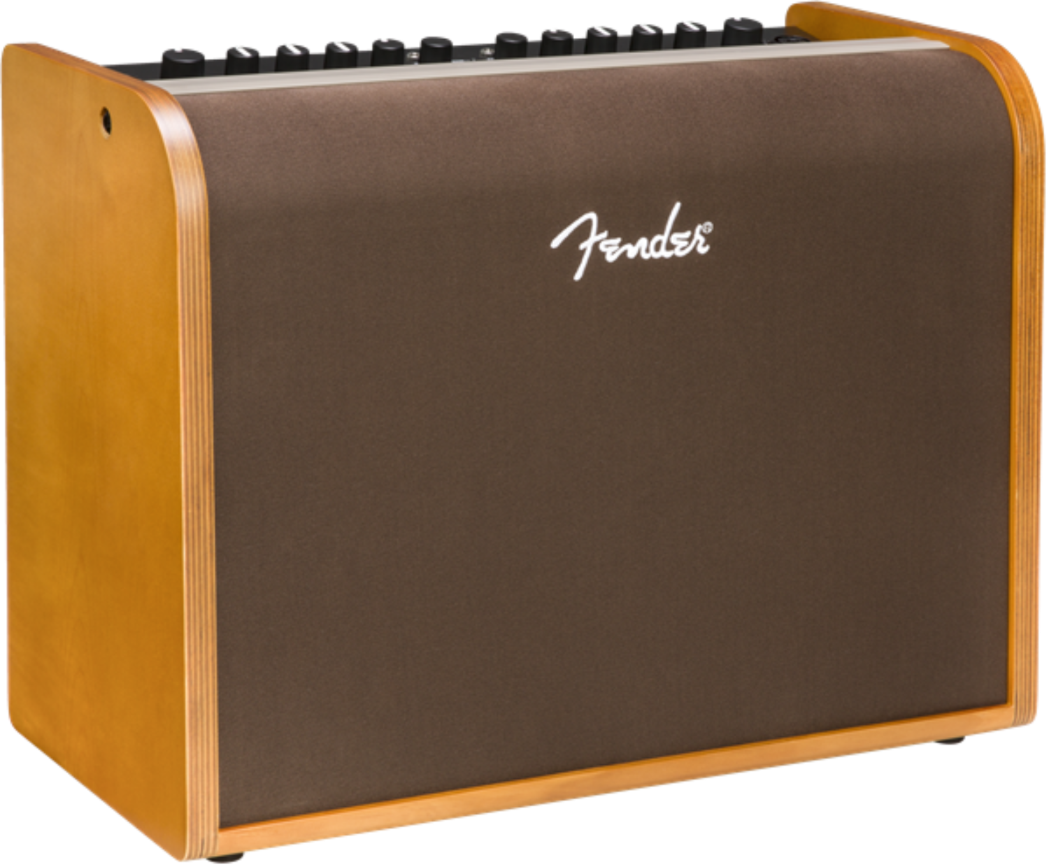 Fender Acoustic 100 Acoustic Amp