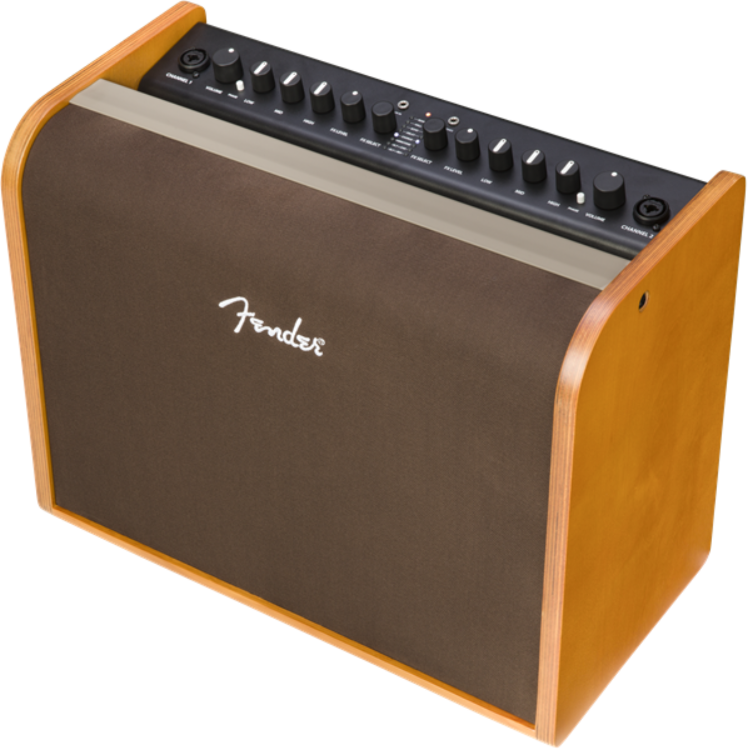 Fender Acoustic 100 Acoustic Amp