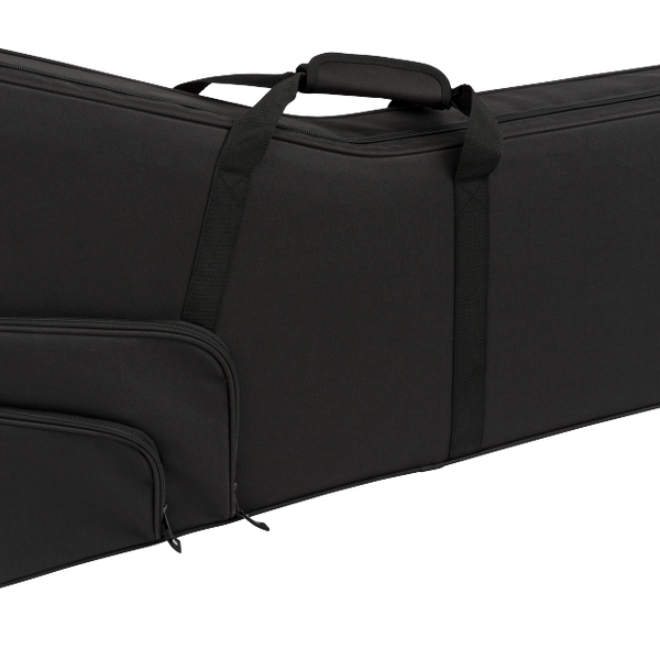 Jackson bass hotsell hardshell gig bag