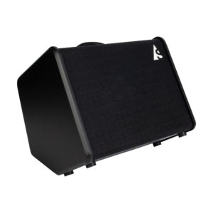 Godin Acoustic Solutions ASG-8 Black 120 Watts