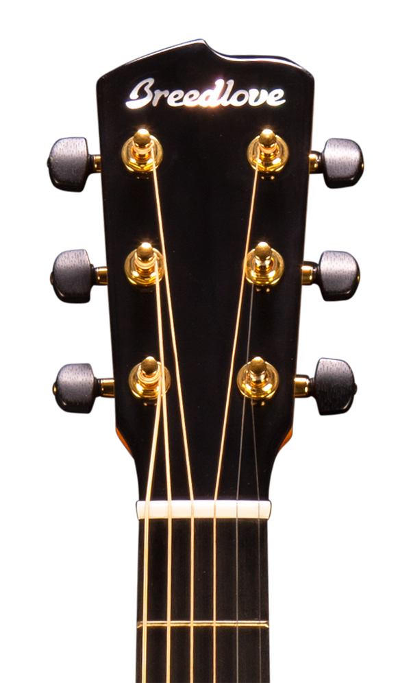 Breedlove Organic Artista Concertina Natural Shadow CE Acoustic
