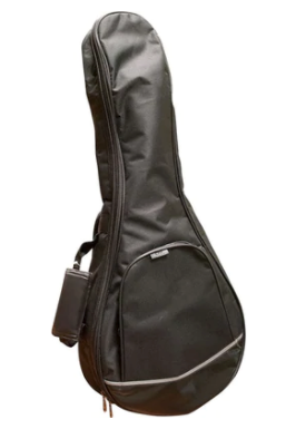Profile Mandolin Bag