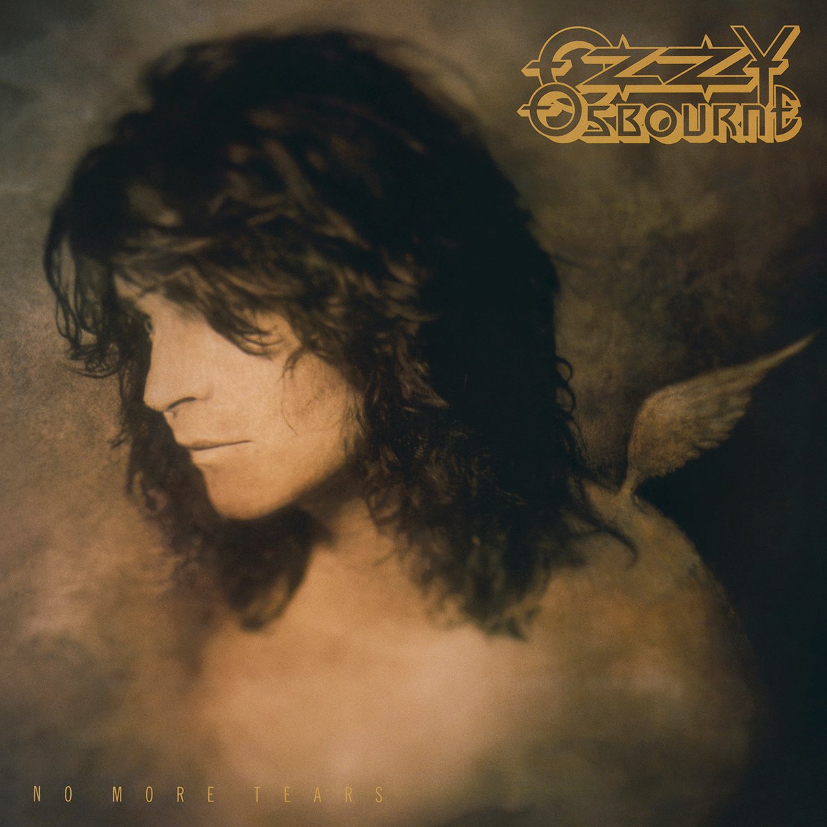 VINYL Ozzy Osbourne No More Tears