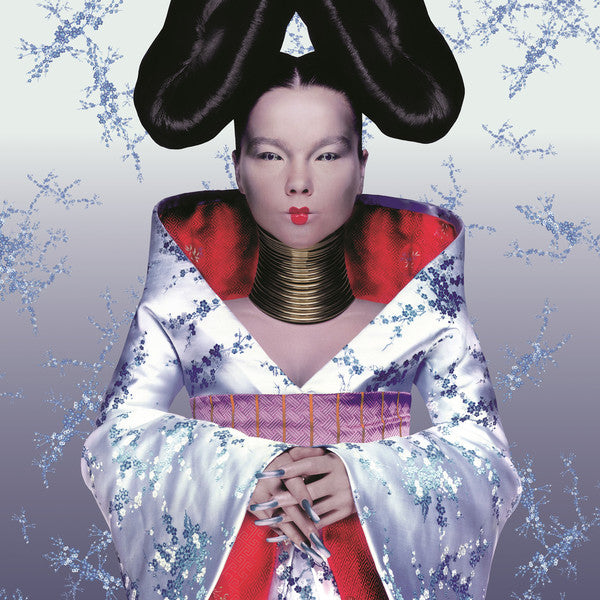 VINYL BJORK HOMOGENIC