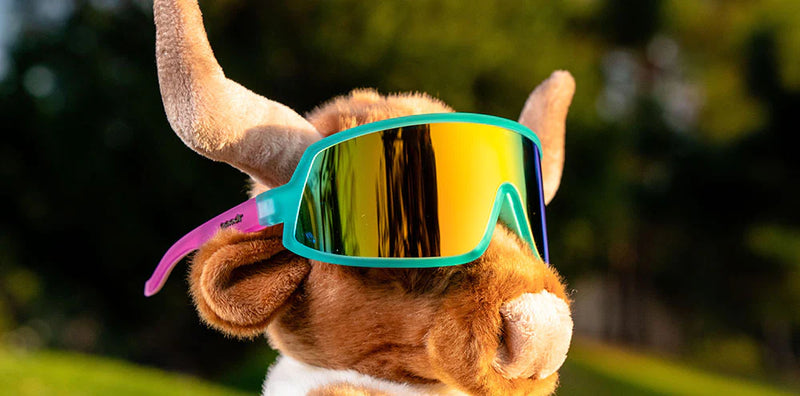 Goodr Sunglasses Wrap G's Save A Bull Ride A Rodeo Clown