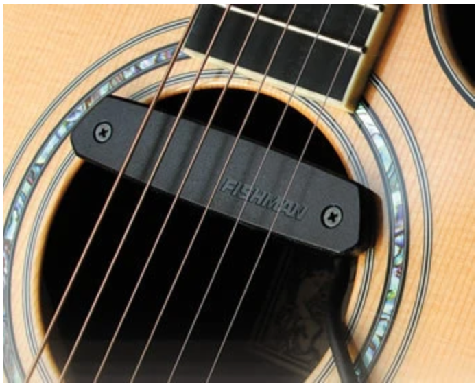 Fishman PRO-NEO-D Pickup