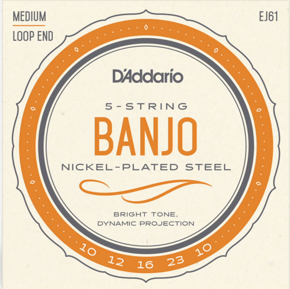 D'Addario 5 String Banjo String Set