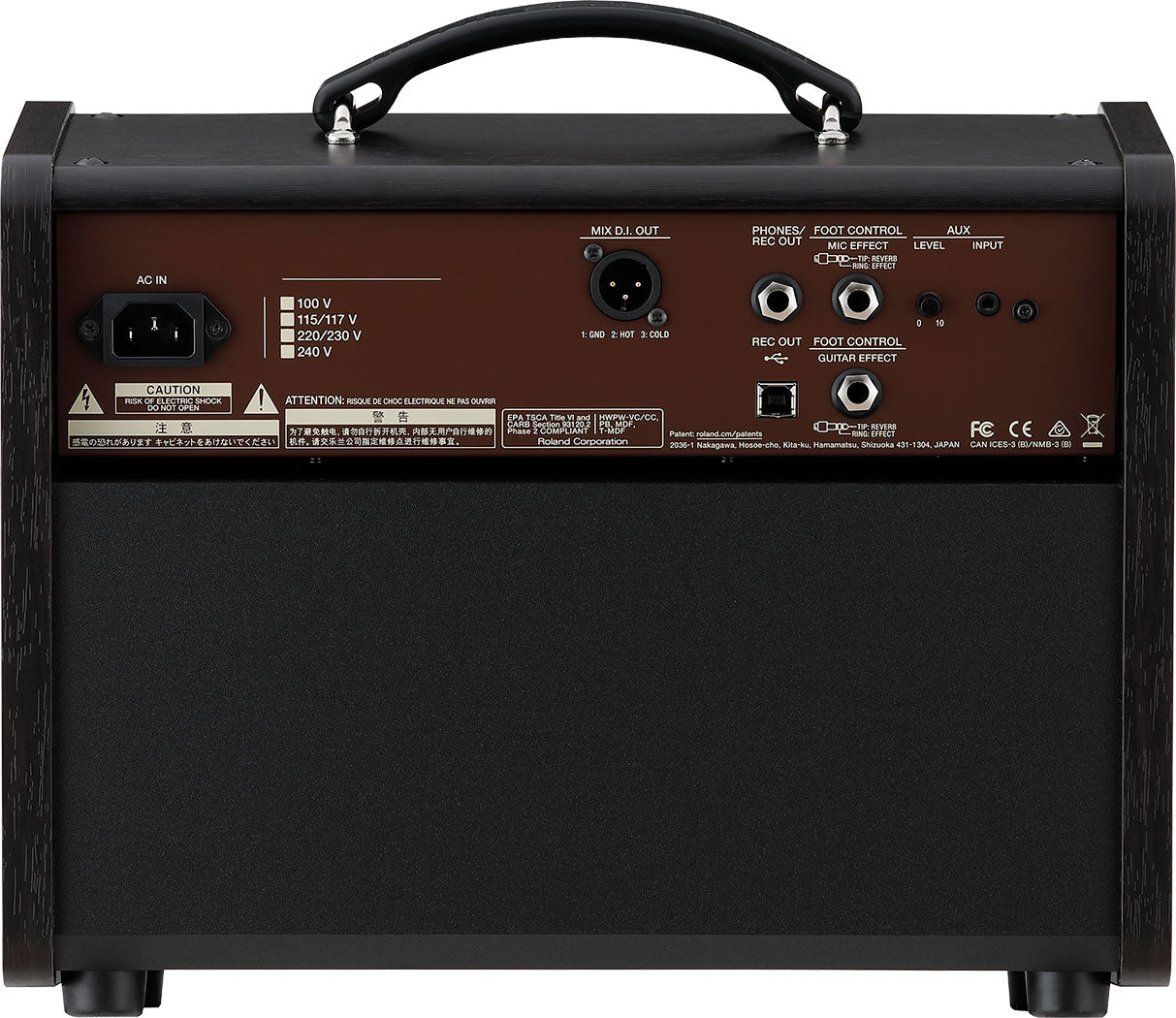 Boss Acoustic Singer Live LT 60W