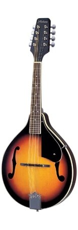 Alabama Style A Mandolin in Tobacco Sunburst by Coast Music