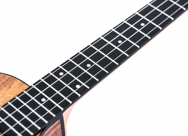 B - Stock Twisted Wood Switchback Tenor Ukulele by Twisted Wood Guitars