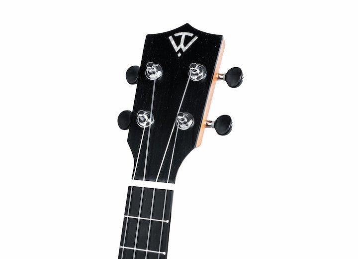 B - Stock Twisted Wood Switchback Tenor Ukulele by Twisted Wood Guitars