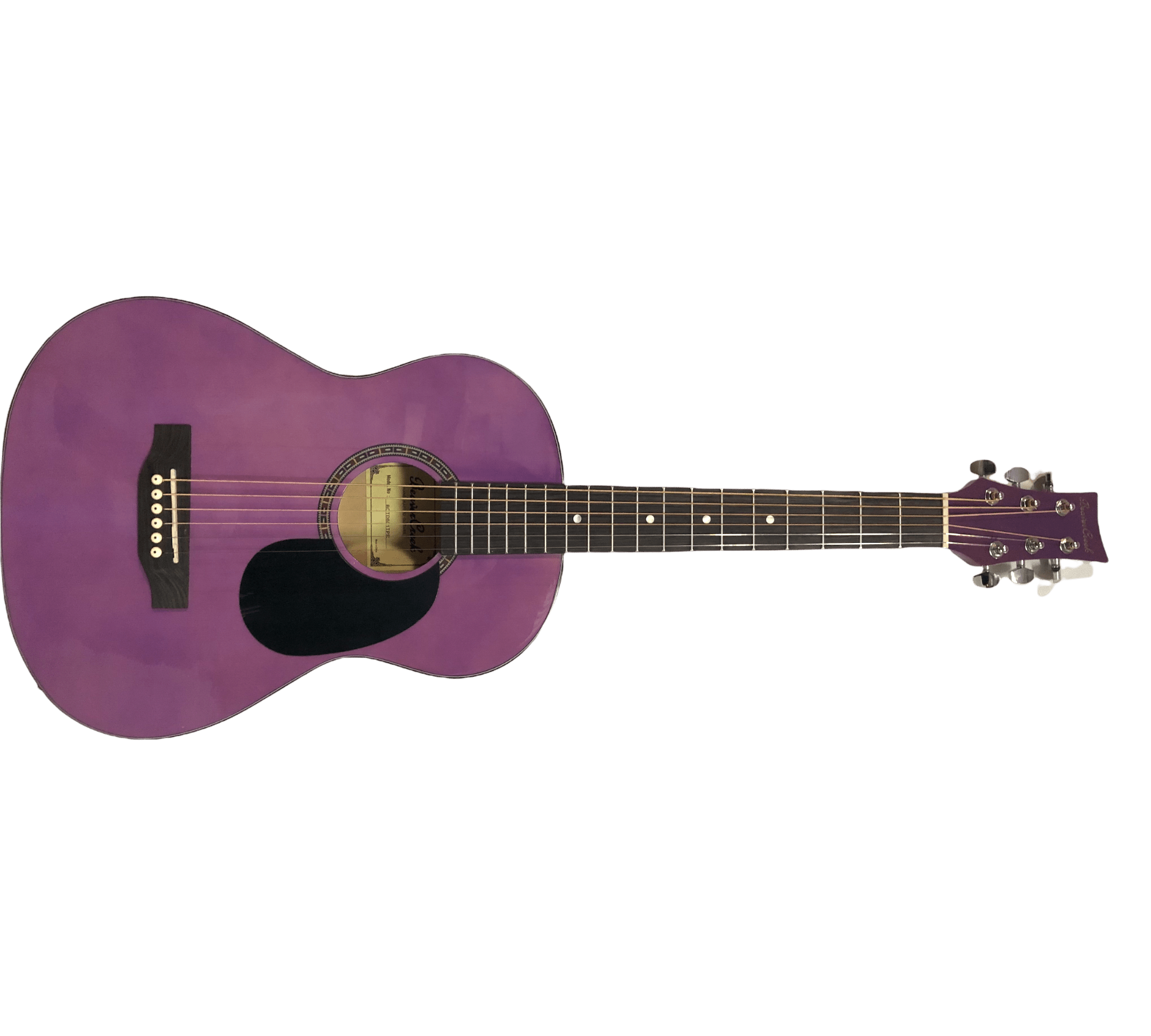 Beaver Creek 3/4 Size Acoustic Guitar by D'Addario Canada