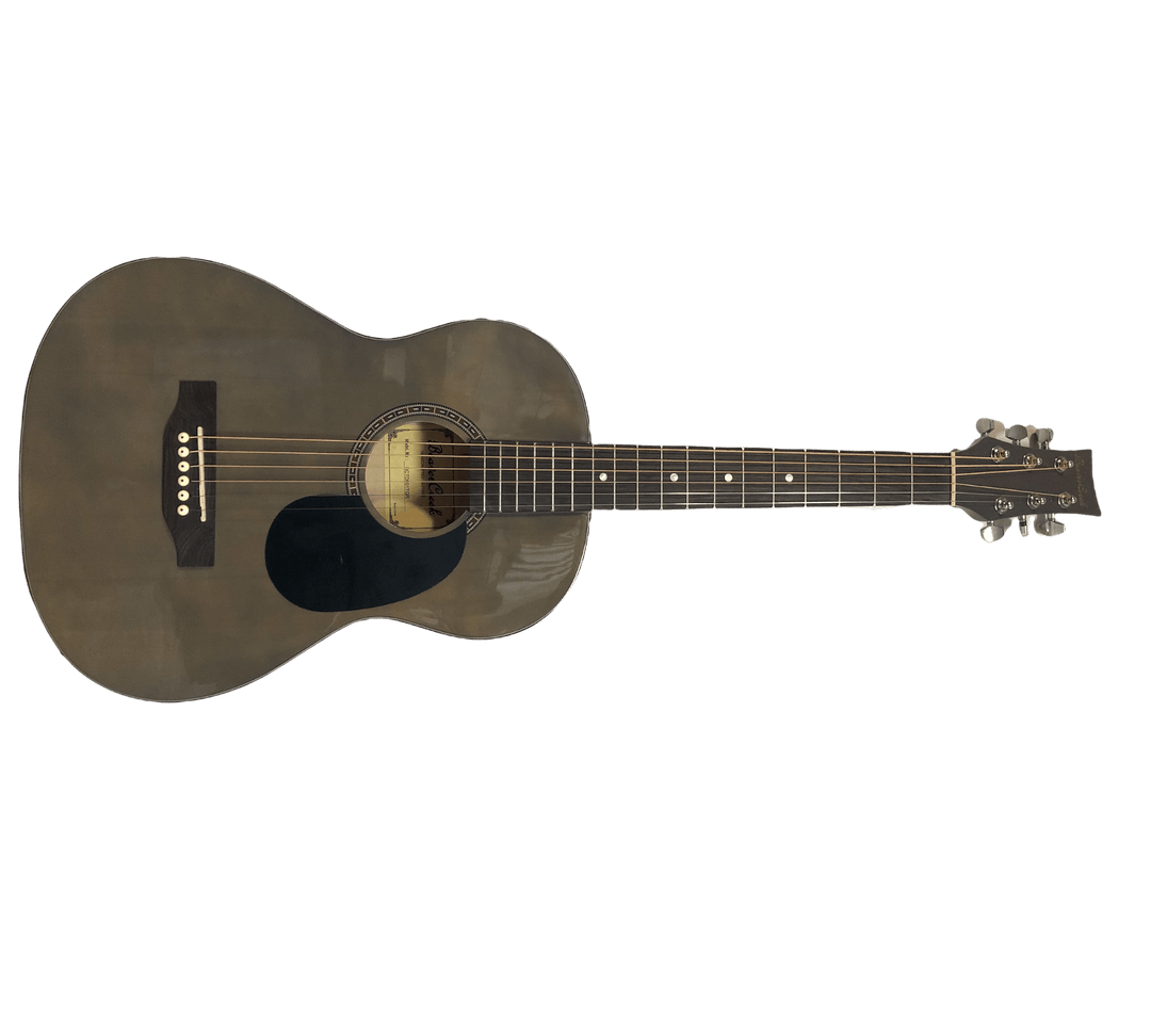 Beaver Creek 3/4 Size Acoustic Guitar by D'Addario Canada