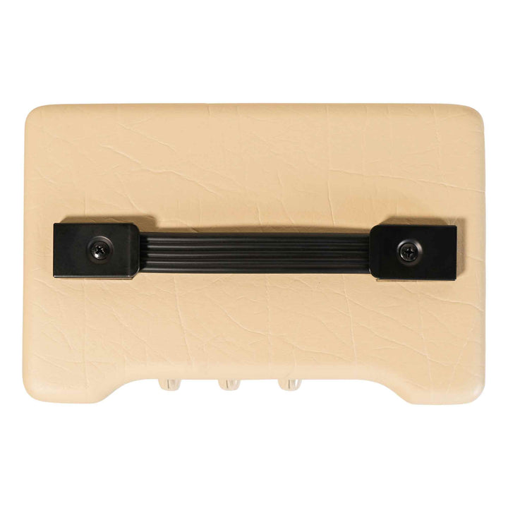 Blackstar Debut Series 10E Guitar Amp by Korg USA