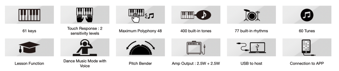 Casio CT - S300 Portable Keyboard by SFM