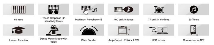 Casio CT - S300 Portable Keyboard by SFM