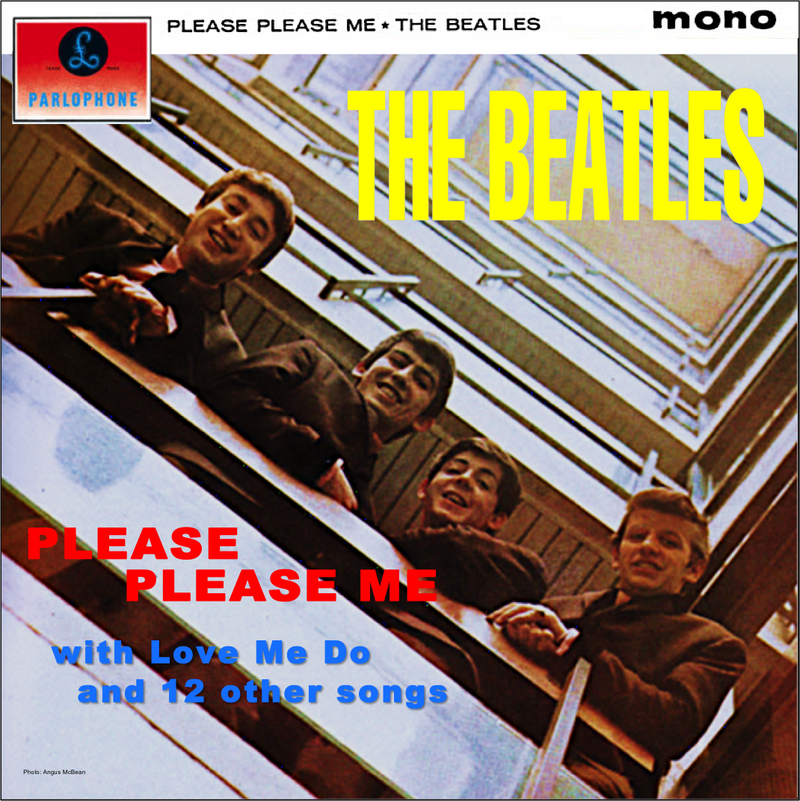 VINYL Beatles Please Please Me